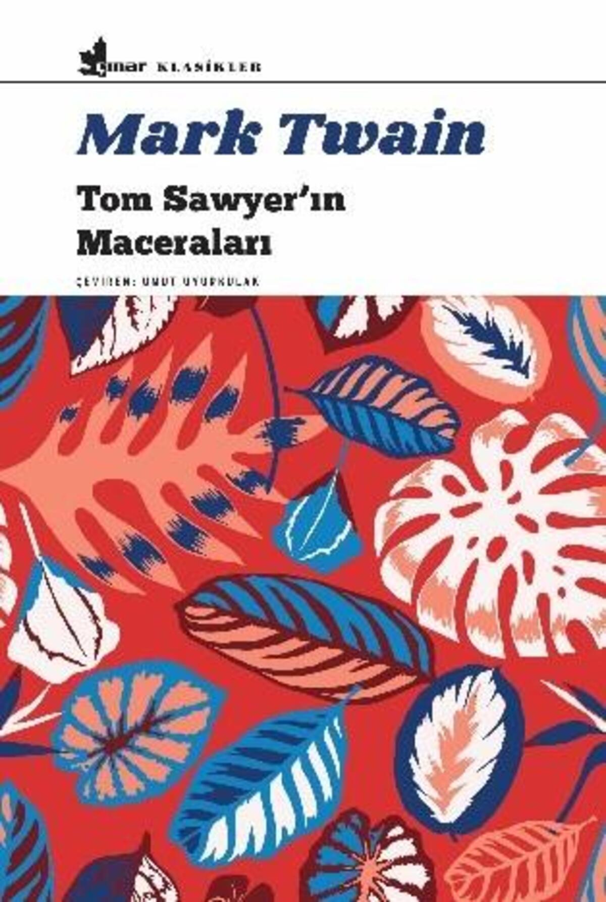 Tom Sawyer'ın Maceraları