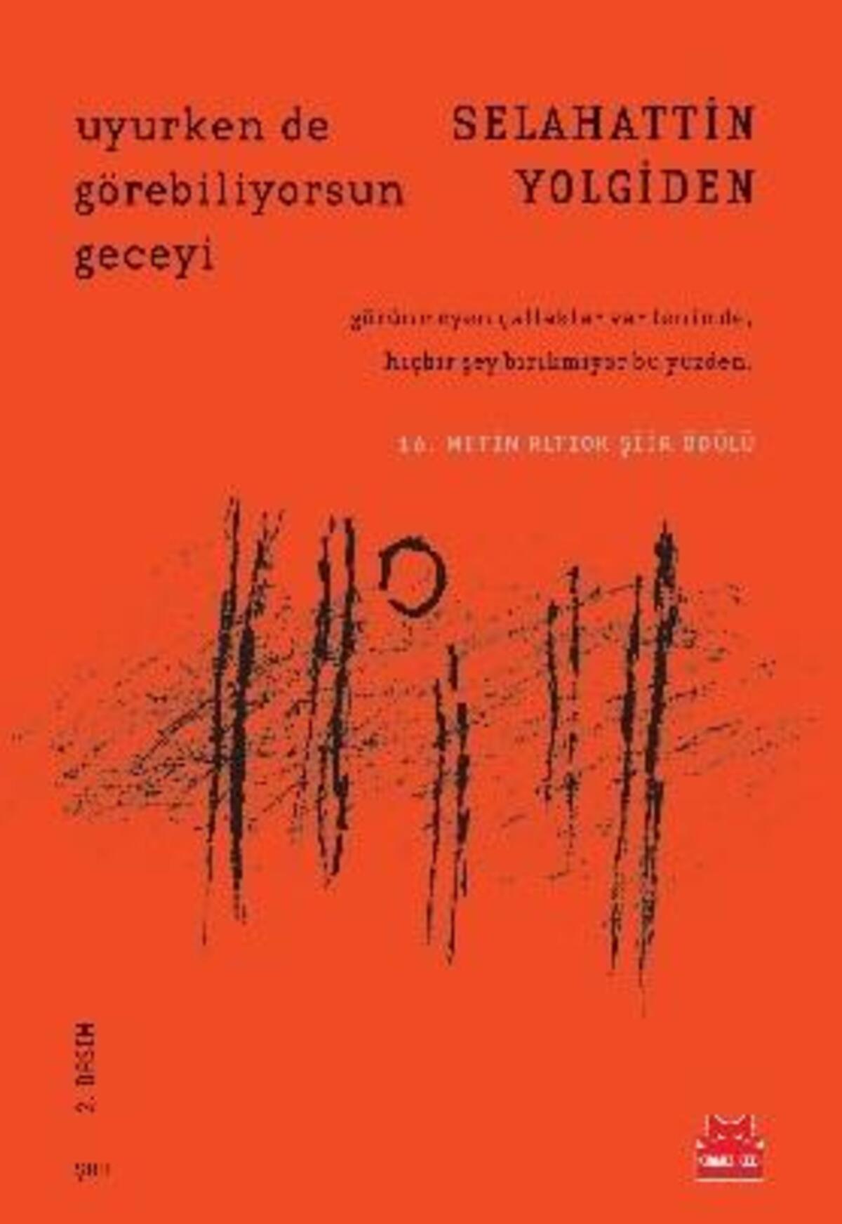 Uyurken de Görebiliyorsun Geceyi