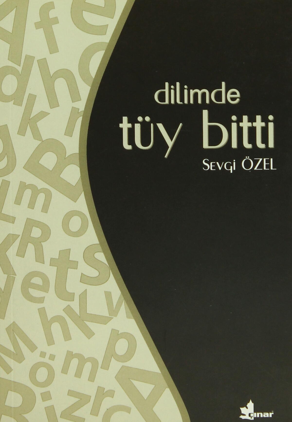 Dilimde Tüy Bitti