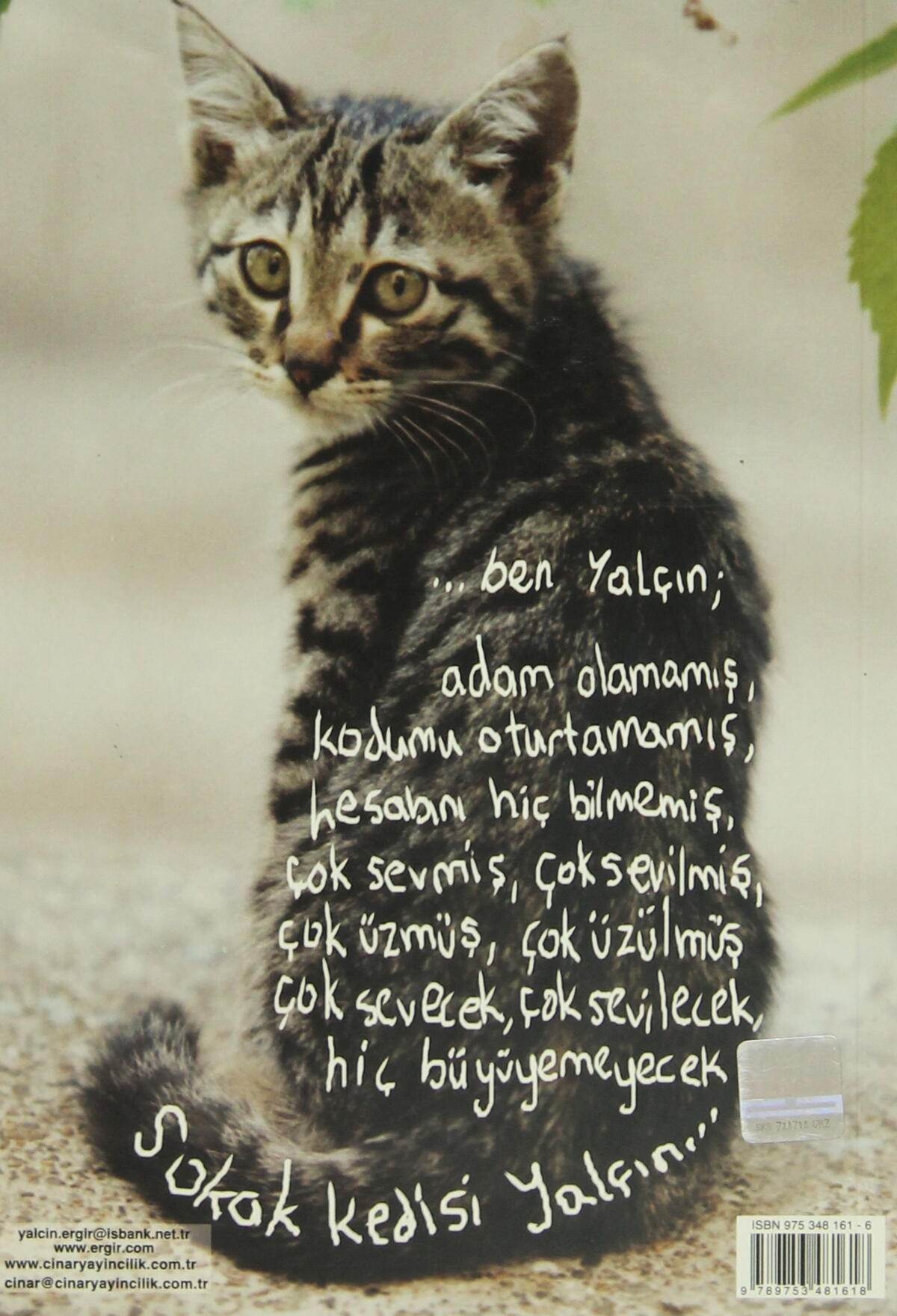Düş Hekimi 2 - Akarsu