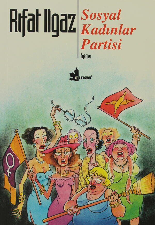 Sosyal Kadınlar Partisi