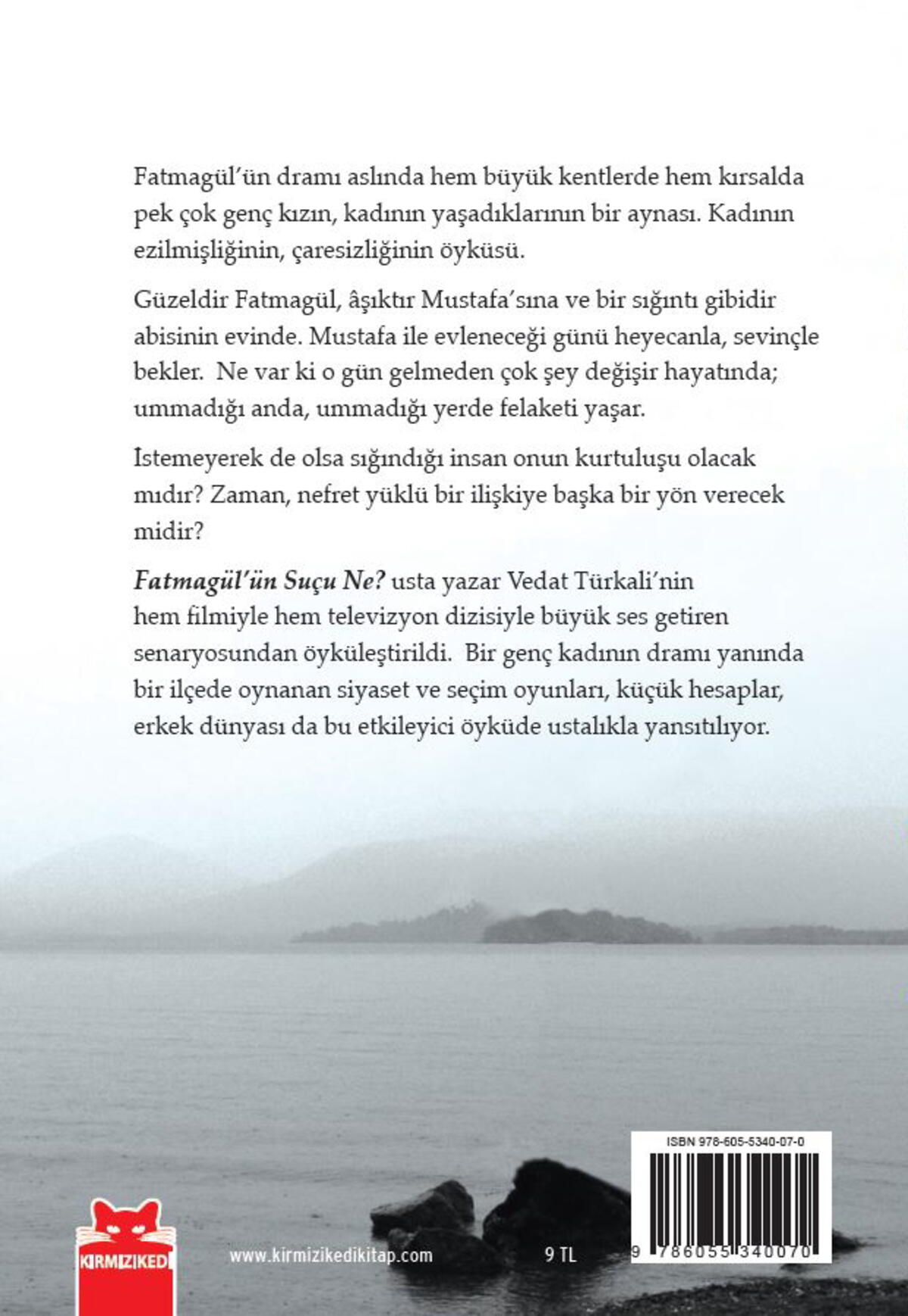 Fatmagül’ün Suçu Ne?