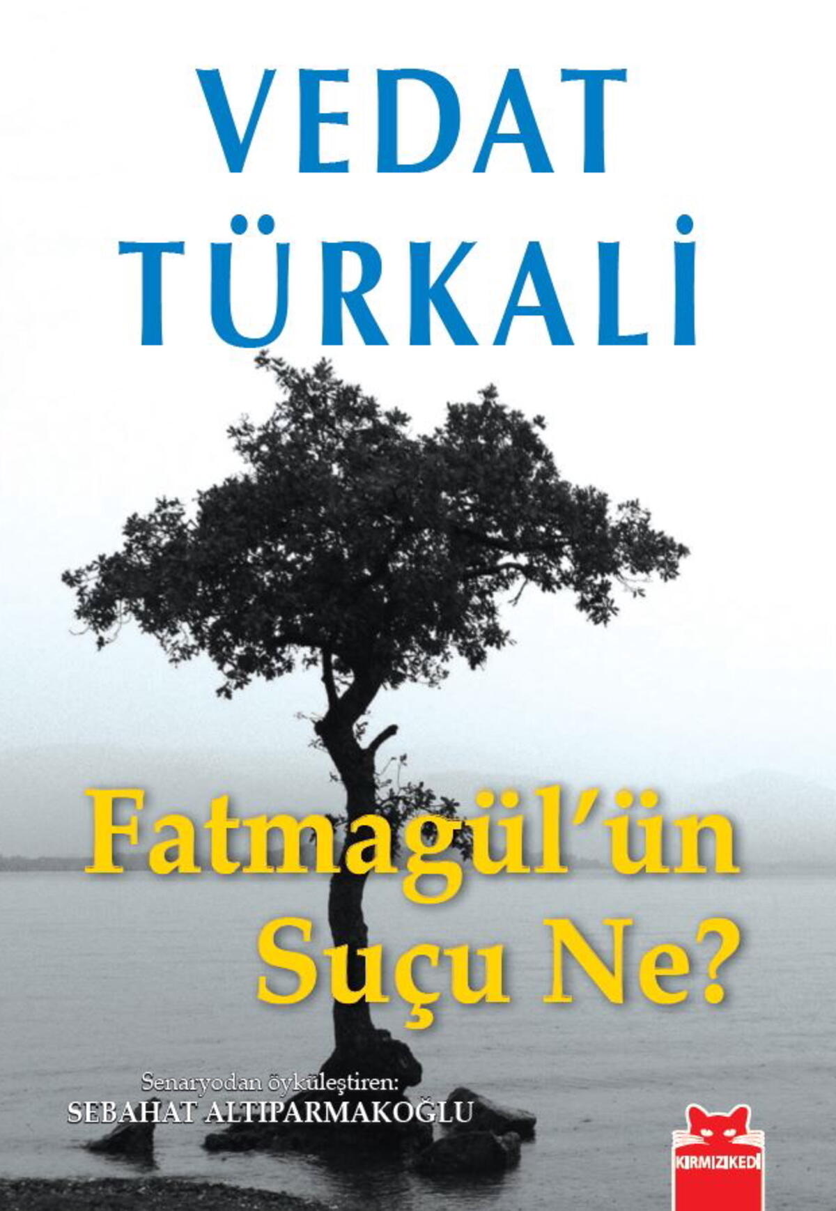 Fatmagül’ün Suçu Ne?