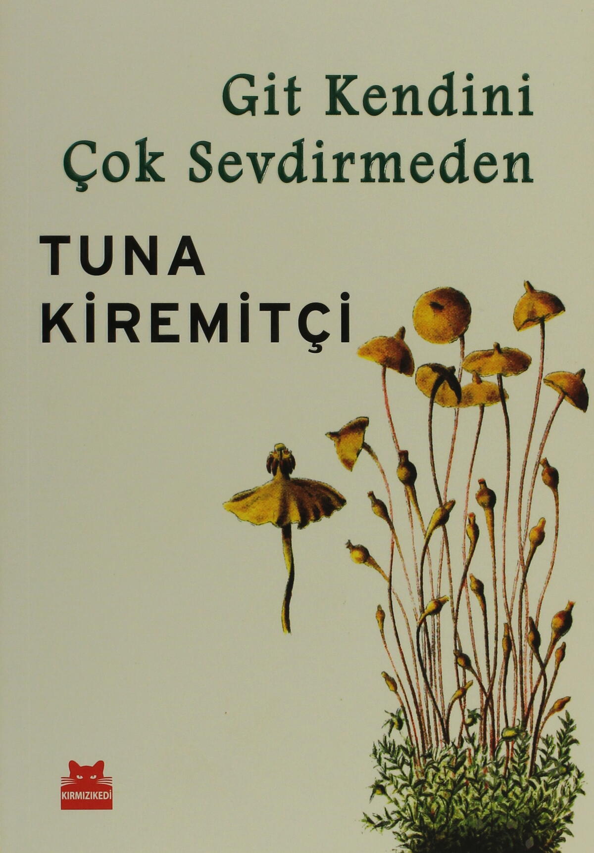 Git Kendini Çok Sevdirmeden