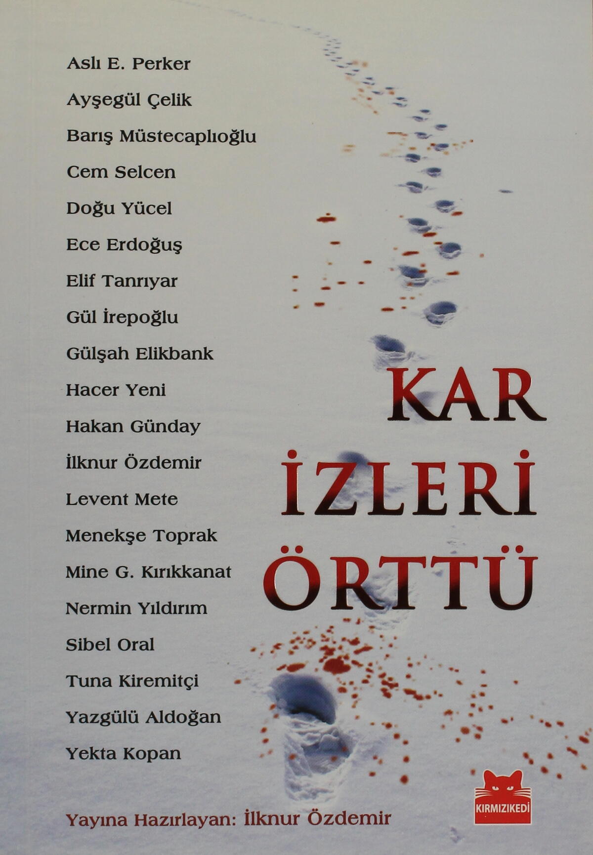 Kar İzleri Örttü