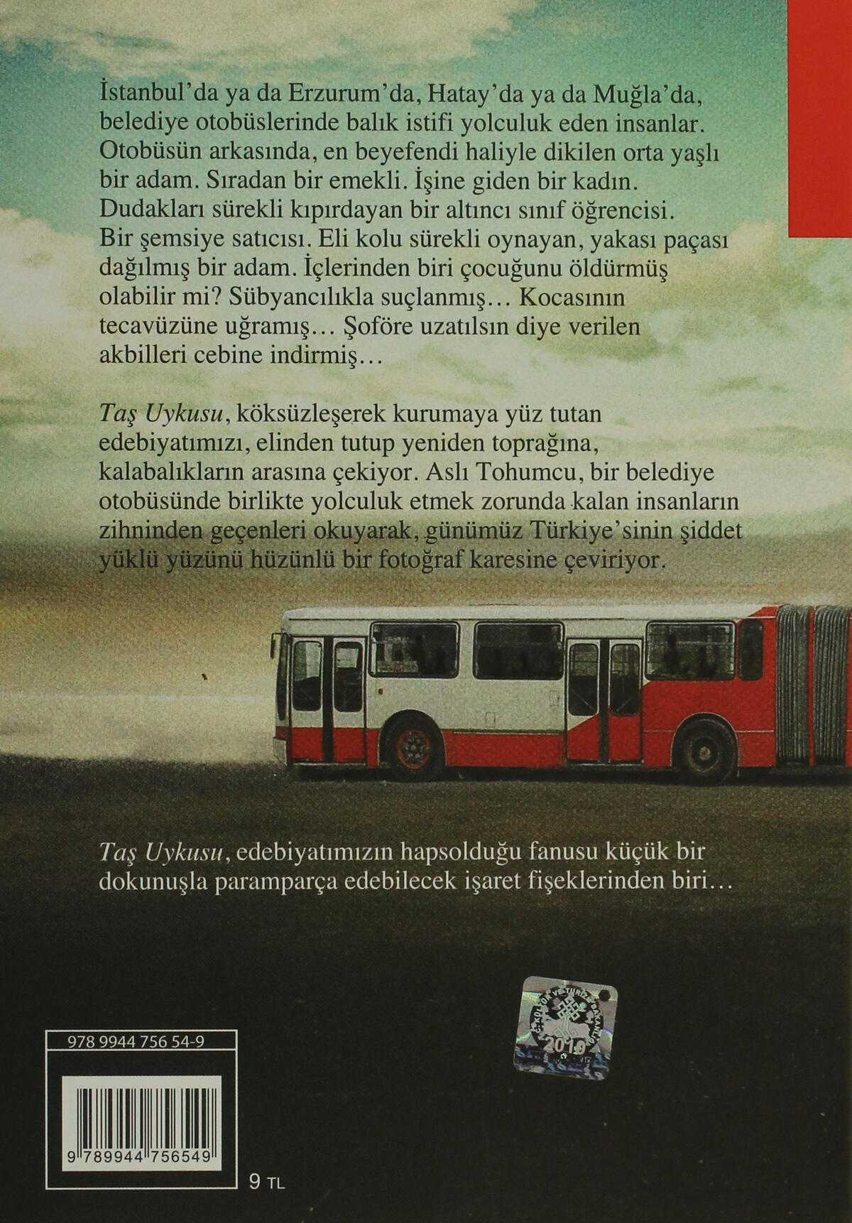 Taş Uykusu