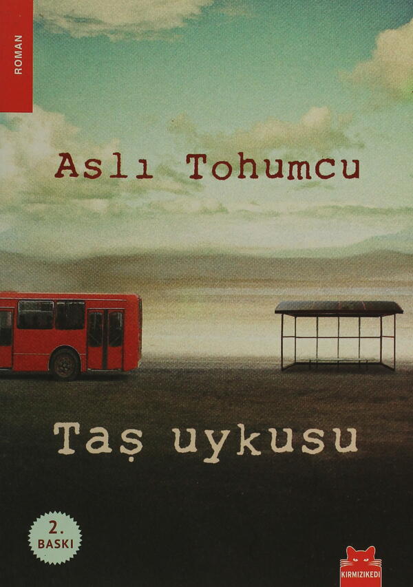 Taş Uykusu