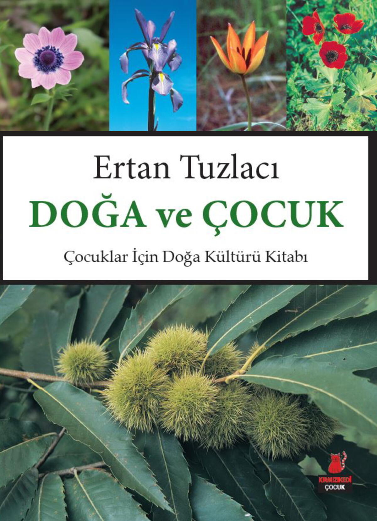 Doğa ve Çocuk