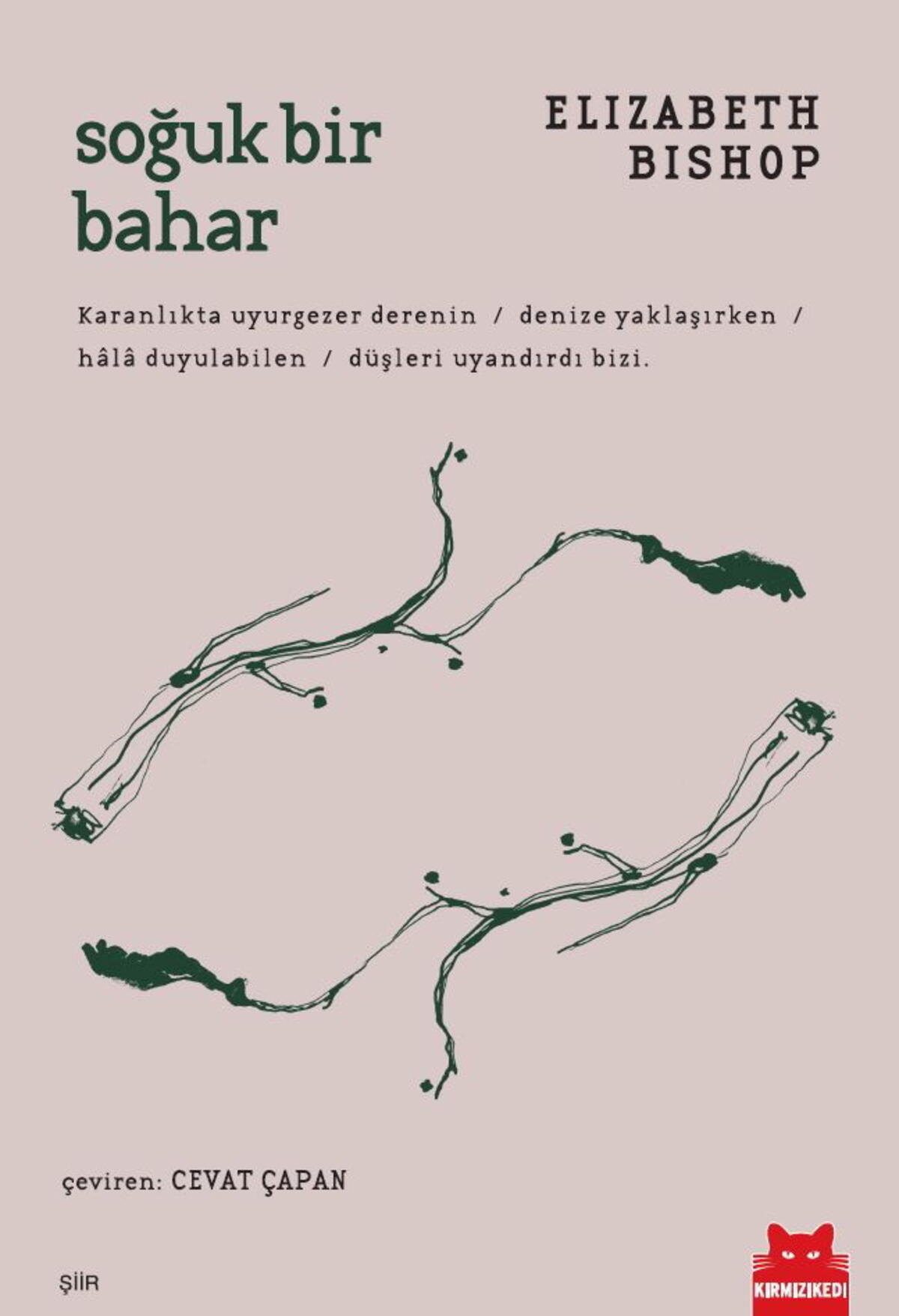 Soğuk Bir Bahar