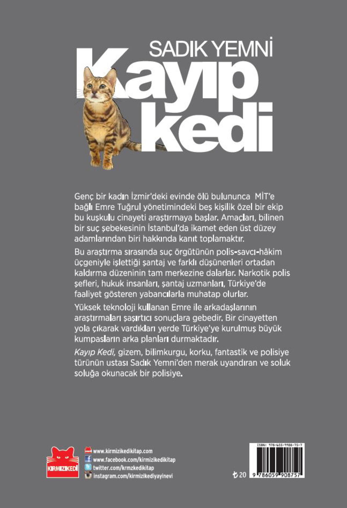 Kayıp Kedi