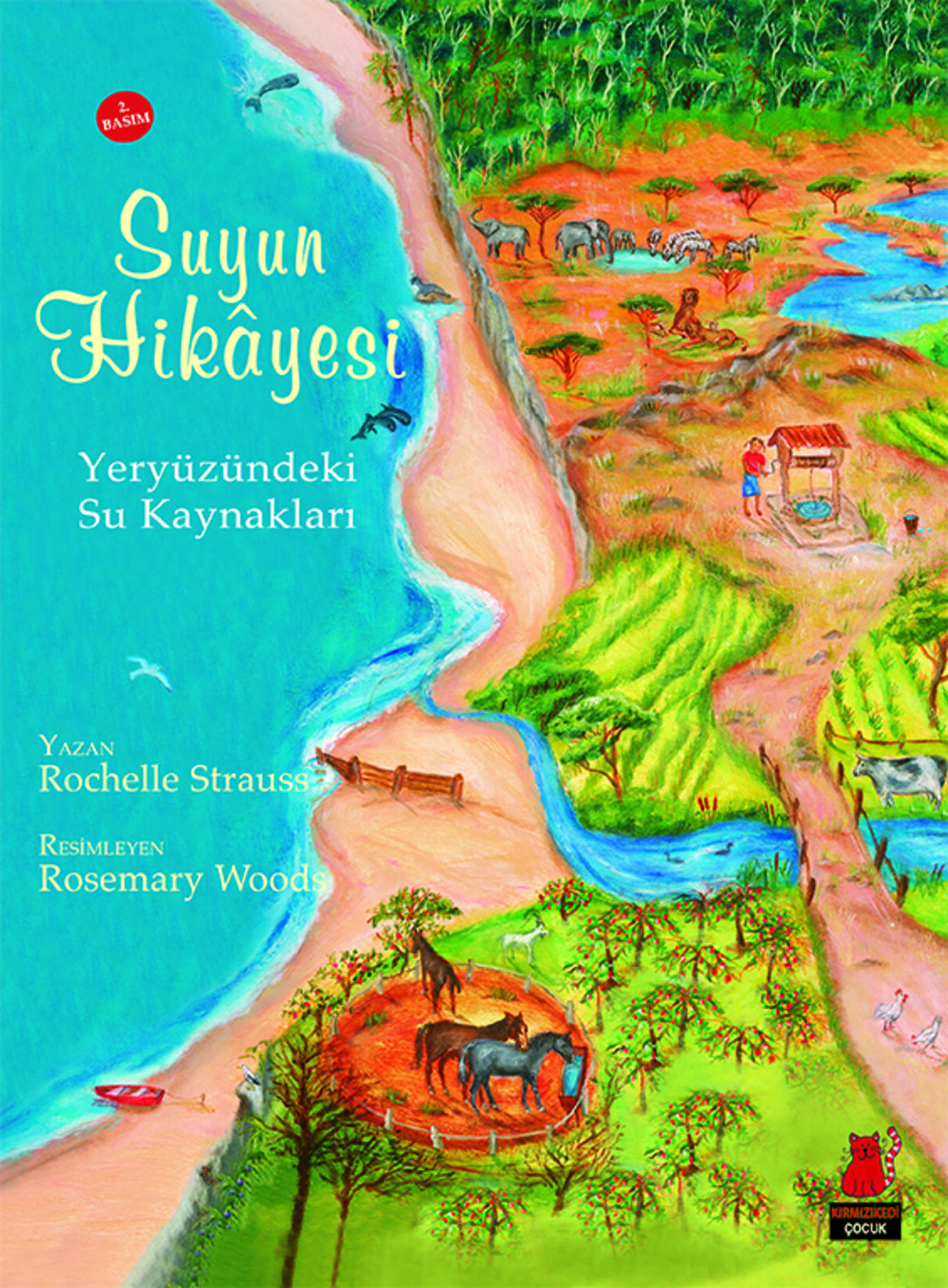 Suyun Hikayesi