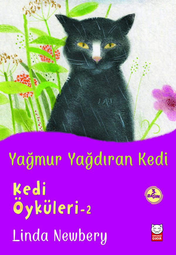 Yağmur Yağdıran Kedi
