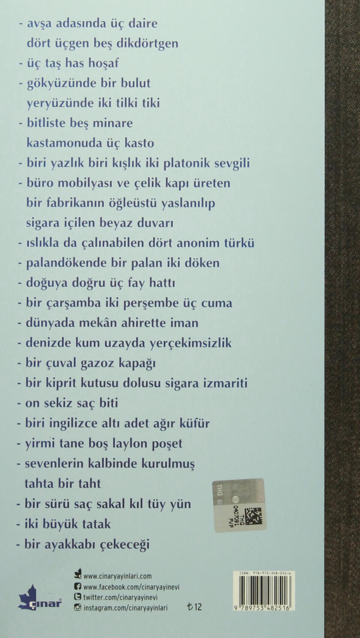Bir Delinin Mal Beyanı