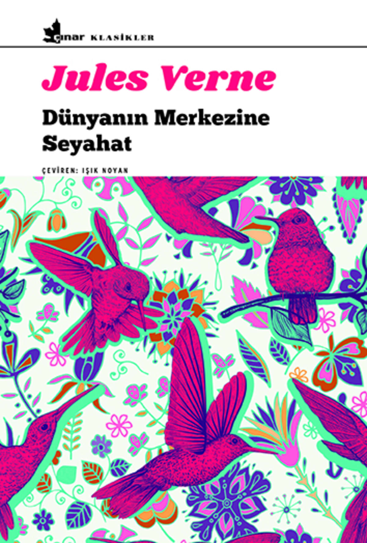 Dünyanın Merkezine Seyahat