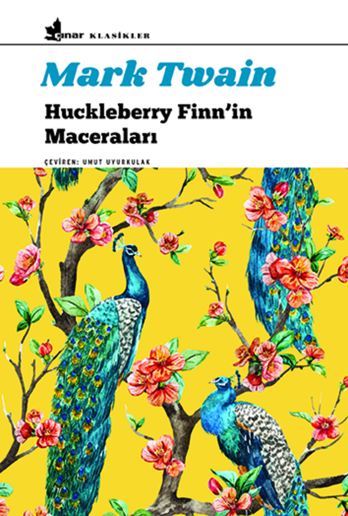 Huckleberry Finn’in Maceraları