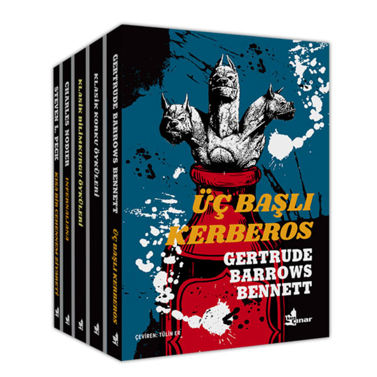 Kara Çınar Dizisi (5 Kitap)