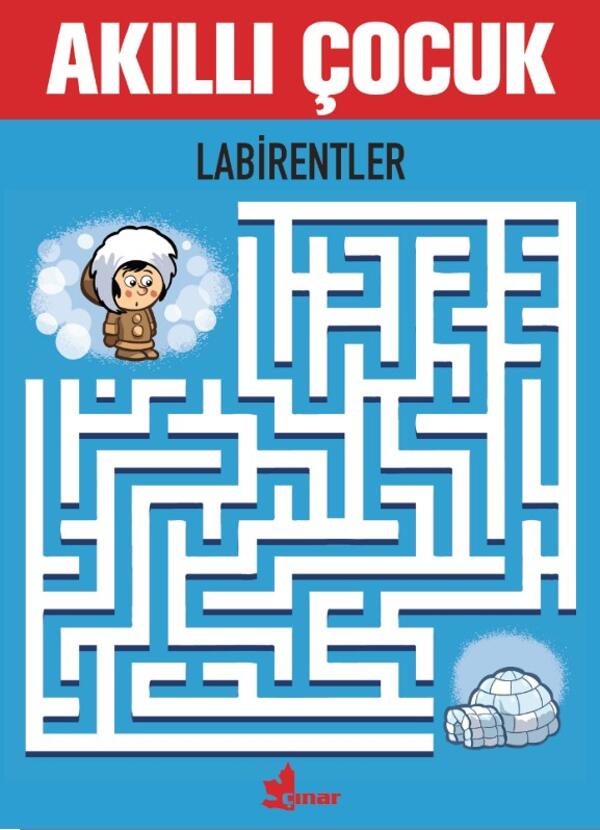 Labirentler - Akıllı Çocuk