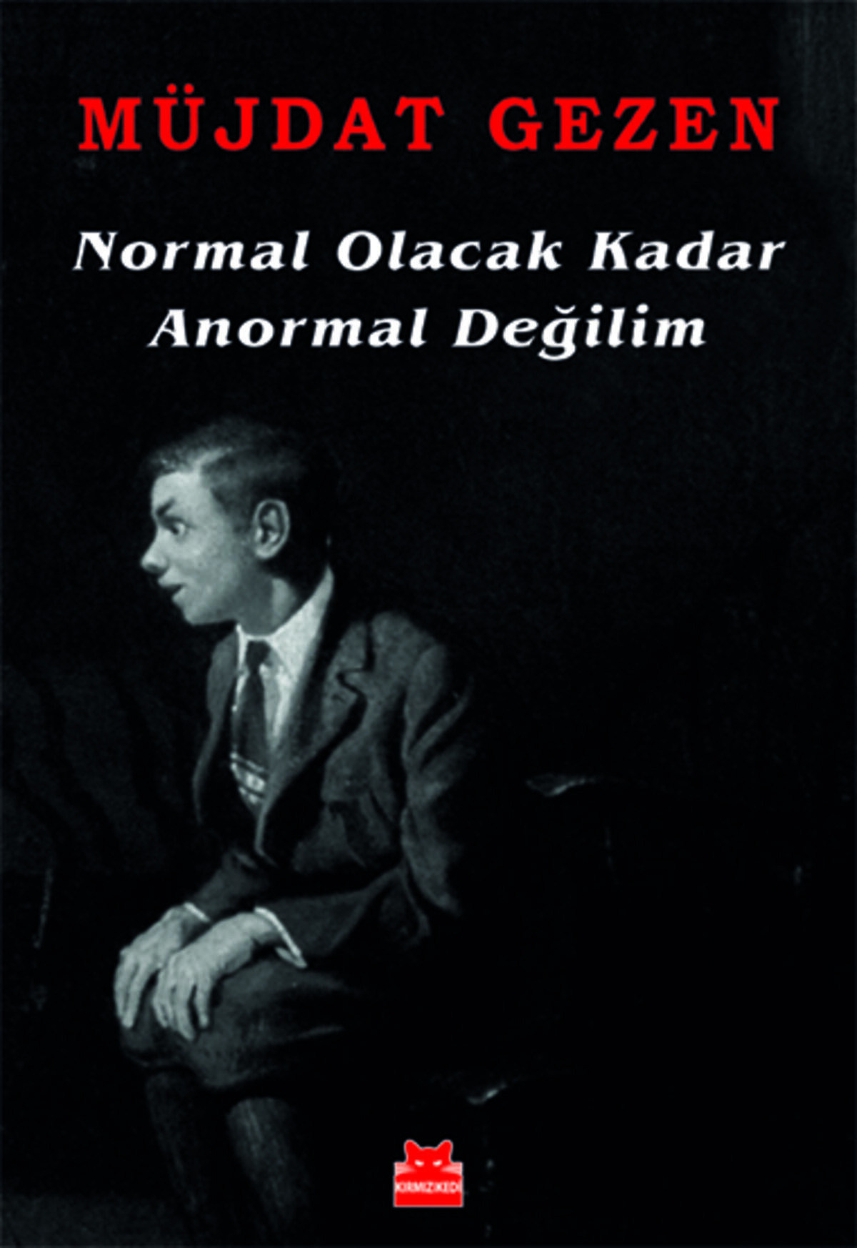 Normal Olacak Kadar Anormal Değilim