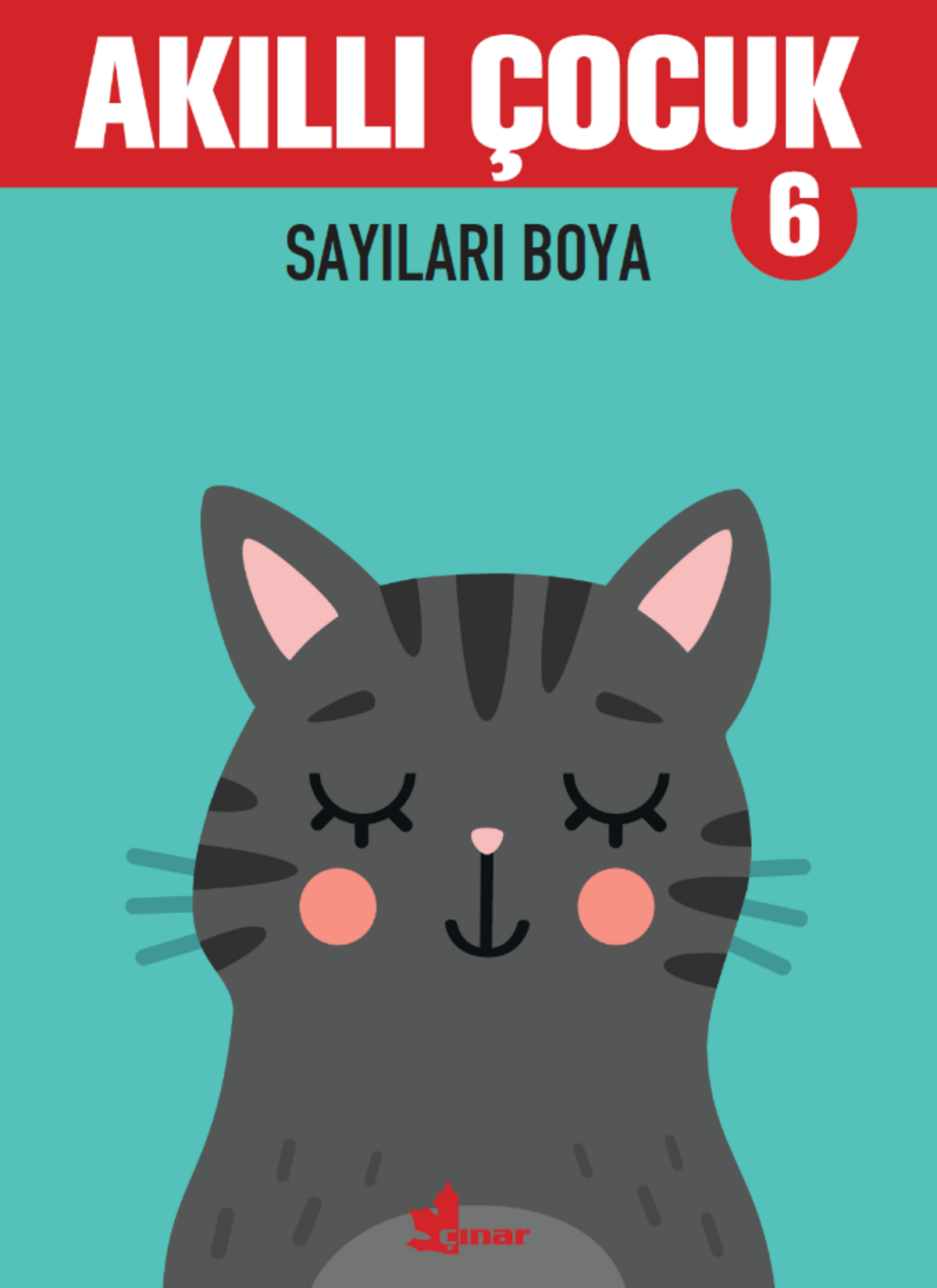 Sayıları Boya - Akıllı Çocuk 6