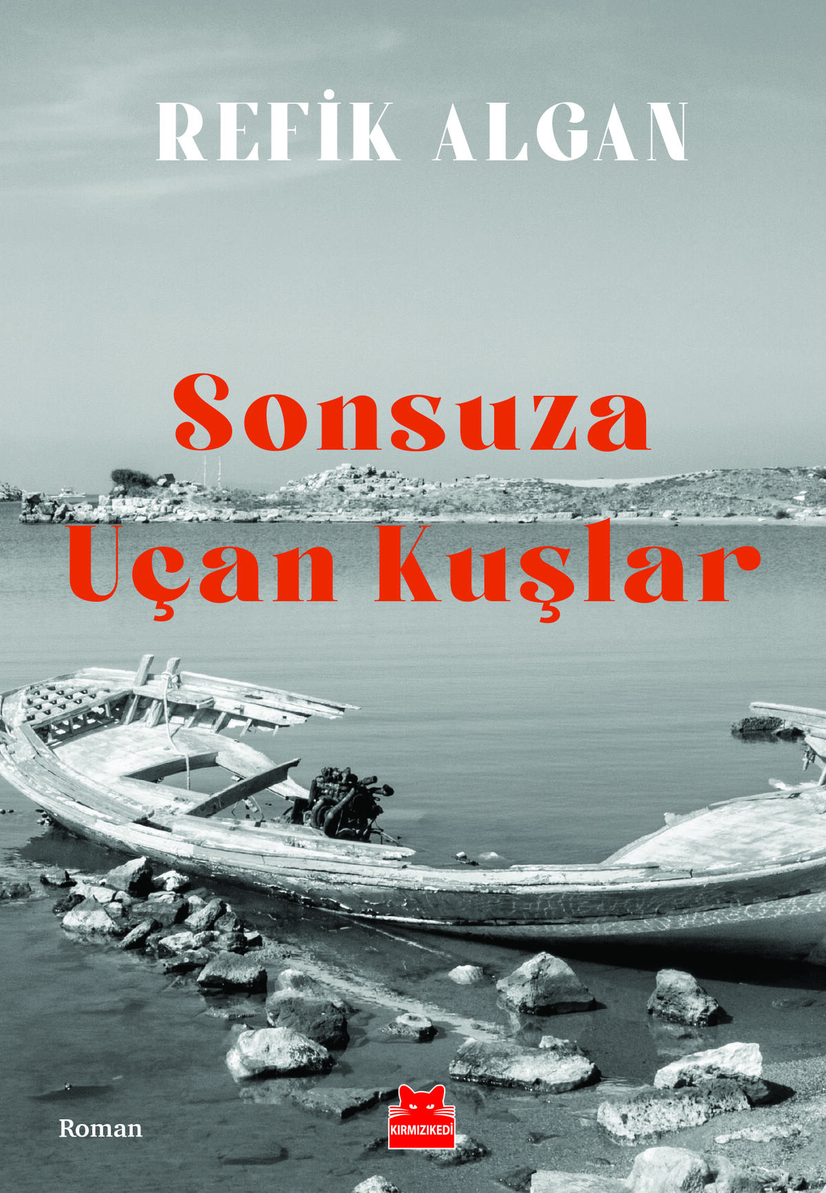 Sonsuza Uçan Kuşlar