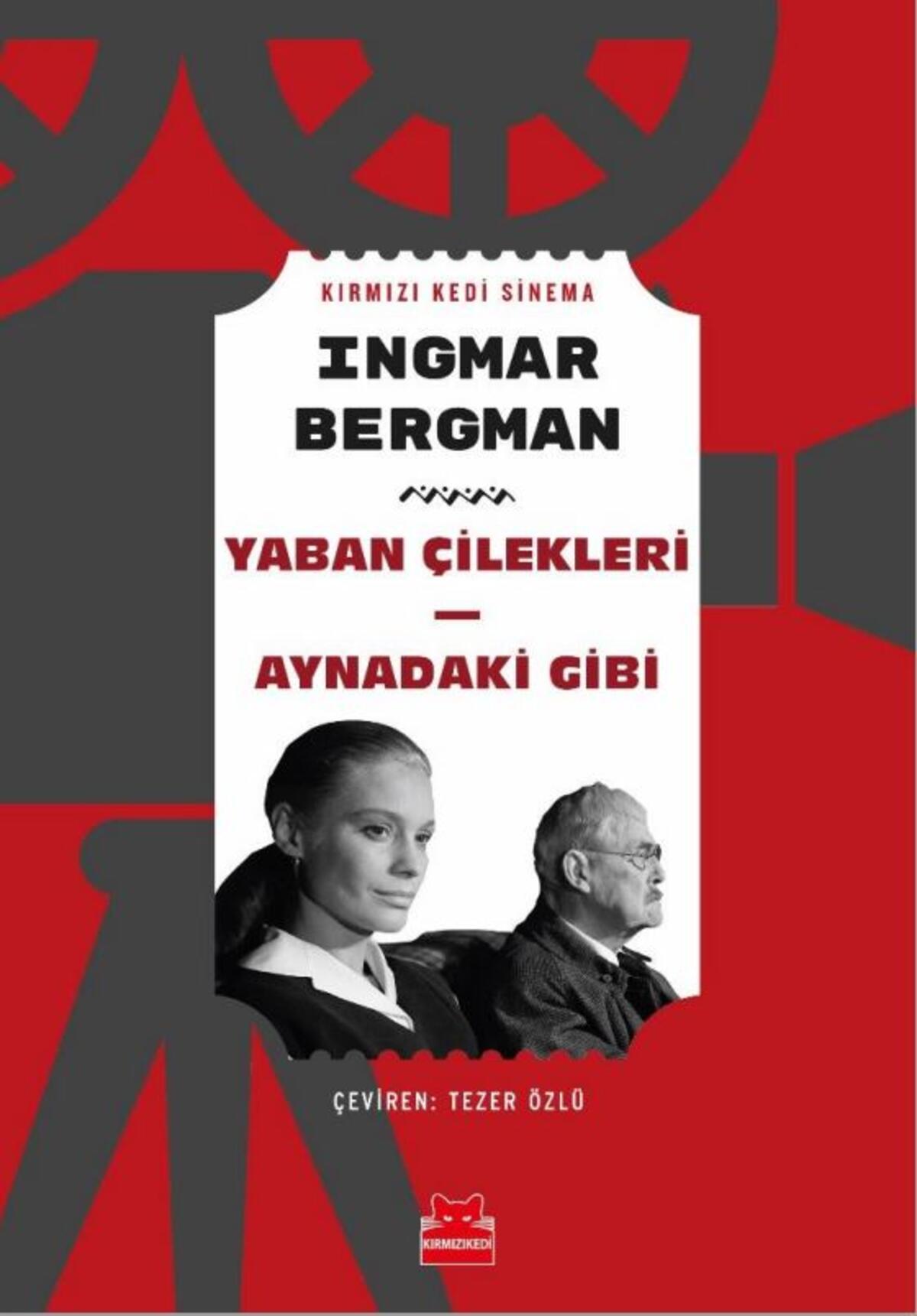 Yaban Çilekleri - Aynadaki Gibi